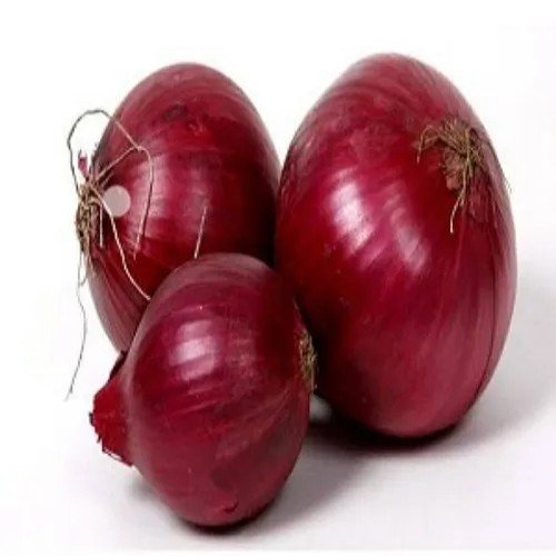 Onion